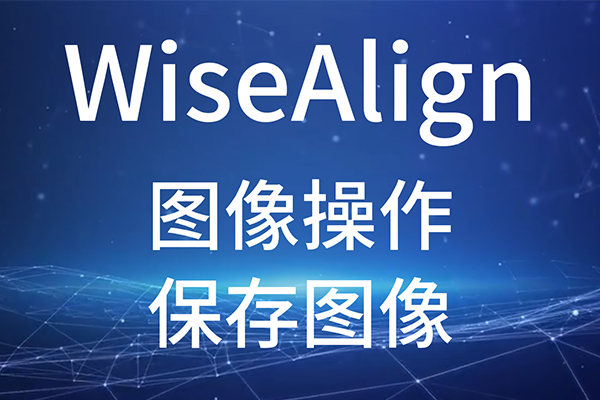 WiseAlign-ͼ-ͼ