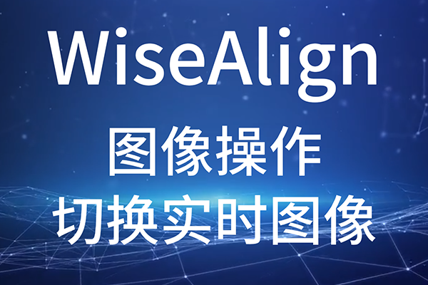 WiseAlign-ͼ-лʵʱͼ