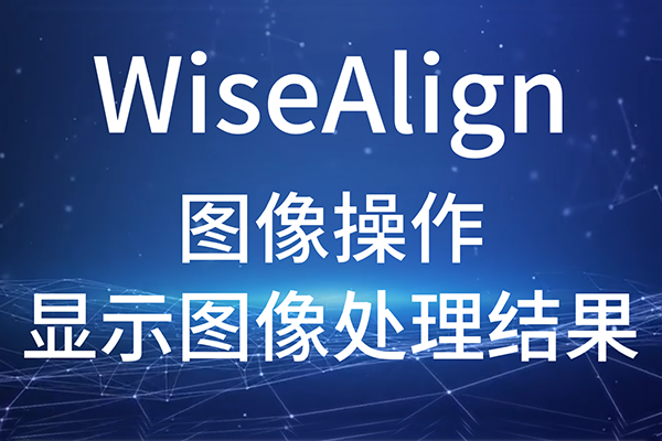 WiseAlign-ͼ-ʾͼ