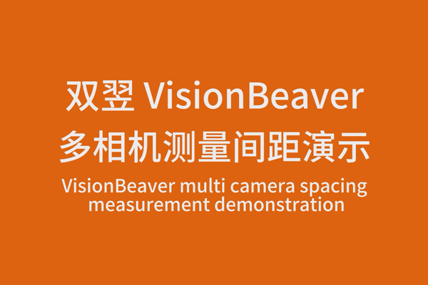 VisionBeaverʾ