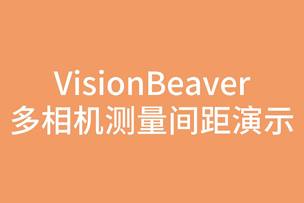 VisionBeaverʾ