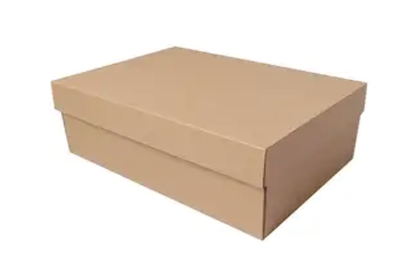 ֽظӦ